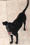 Diego