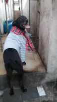 Mickey