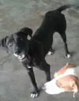 marley