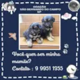 Caio e Cesar
