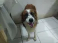 Billy
