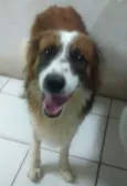 Billy