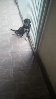 Penolope