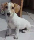 Mel