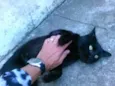 Maru