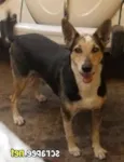NIKITA