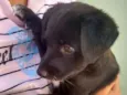 Bob