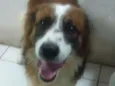 Billy