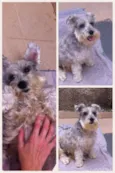 Jully