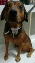 PRINCESA