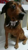PRINCESA