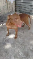 NIKITA