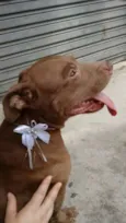 NIKITA
