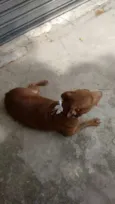 NIKITA