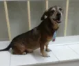 NANICO
