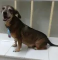NANICO
