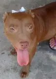 NIKITA