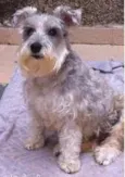 Jully