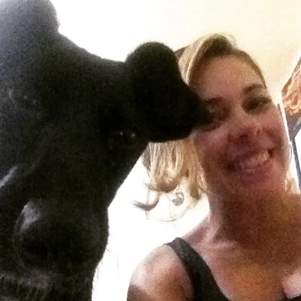 Cachorro ra a SRD idade 7 a 11 meses nome Alex