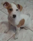 ALBINA