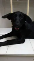 PANTERA