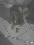 Benjamin