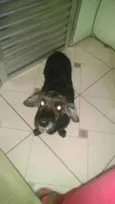 VEINHA