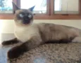 KATE