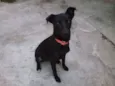 Menina
