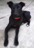 Menina