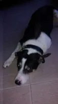 Barão