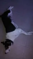 Barão