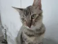 Nina