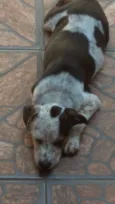 Meg