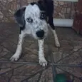 Meg