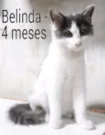 Belinda