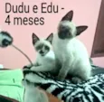 Dudu e Edu