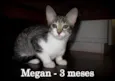 Megan