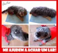 Neguinha