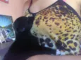 Pretinha