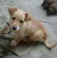Bob