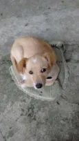 Bob