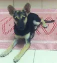 Tieta