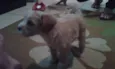 nao tem