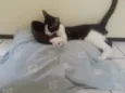 OFAFE