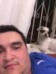 Panda GRATIFICA