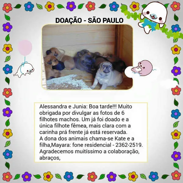 Cachorro ra a SRD idade Abaixo de 2 meses nome 6 meninos