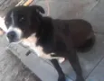Bacana