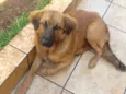 Lili