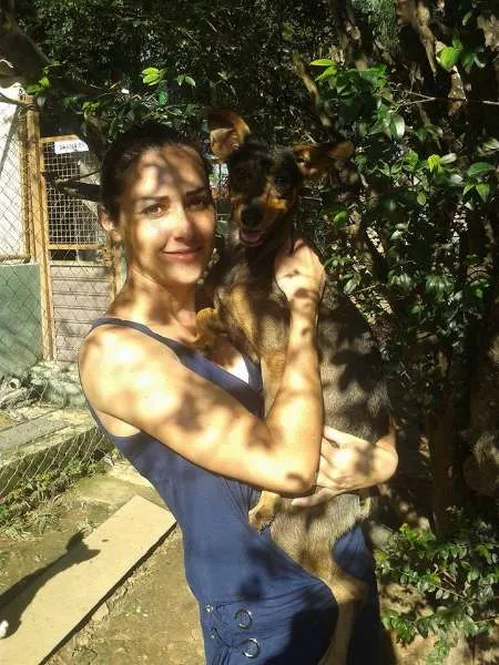 Cachorro raça SRD idade 2 anos nome nina